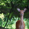 はじめまして