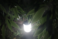 包む