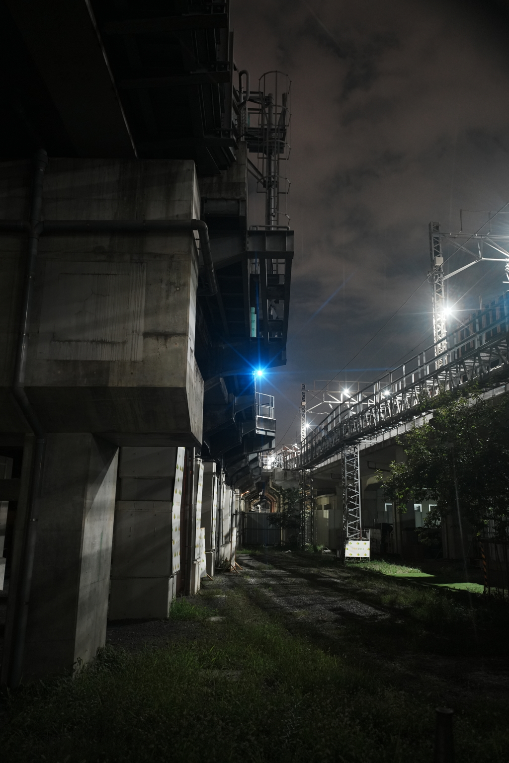 架橋の青信号