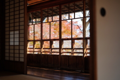 過去の投影