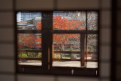 窓から望む秋