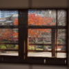 窓から望む秋