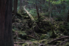 富士の足跡