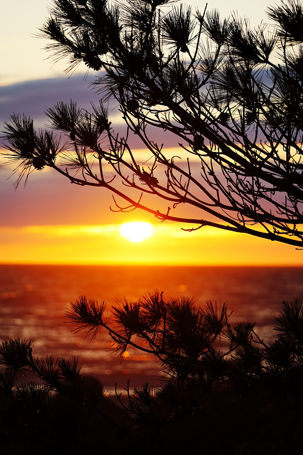 石川県　安部屋地区の弁天島