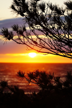 石川県　安部屋地区の弁天島