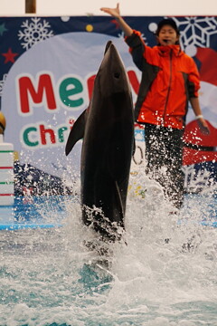 石川県　のとじま水族館