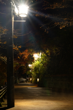 帰り道