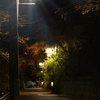 帰り道