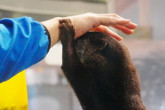 石川県　のとじま水族館