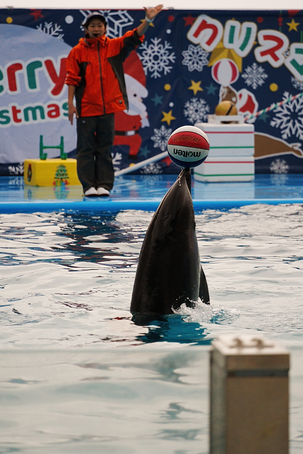 石川県　のとじま水族館