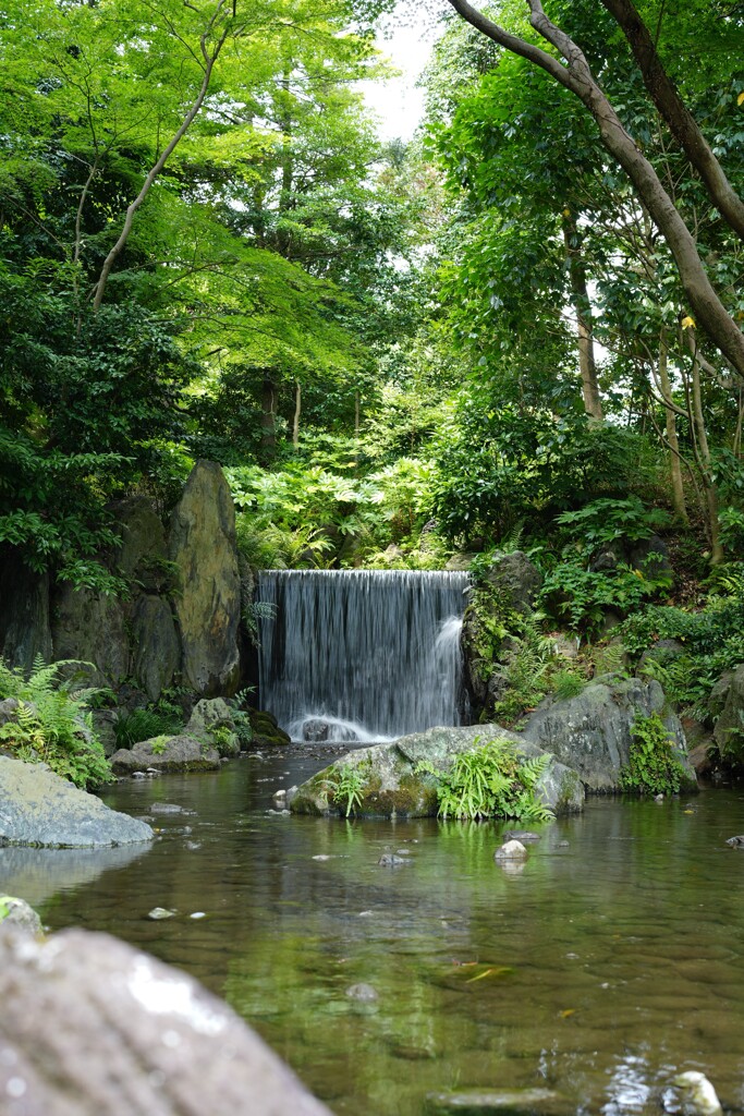 小石川後楽園