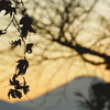 高尾の夕暮れ