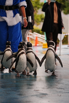石川県　のとじま水族館