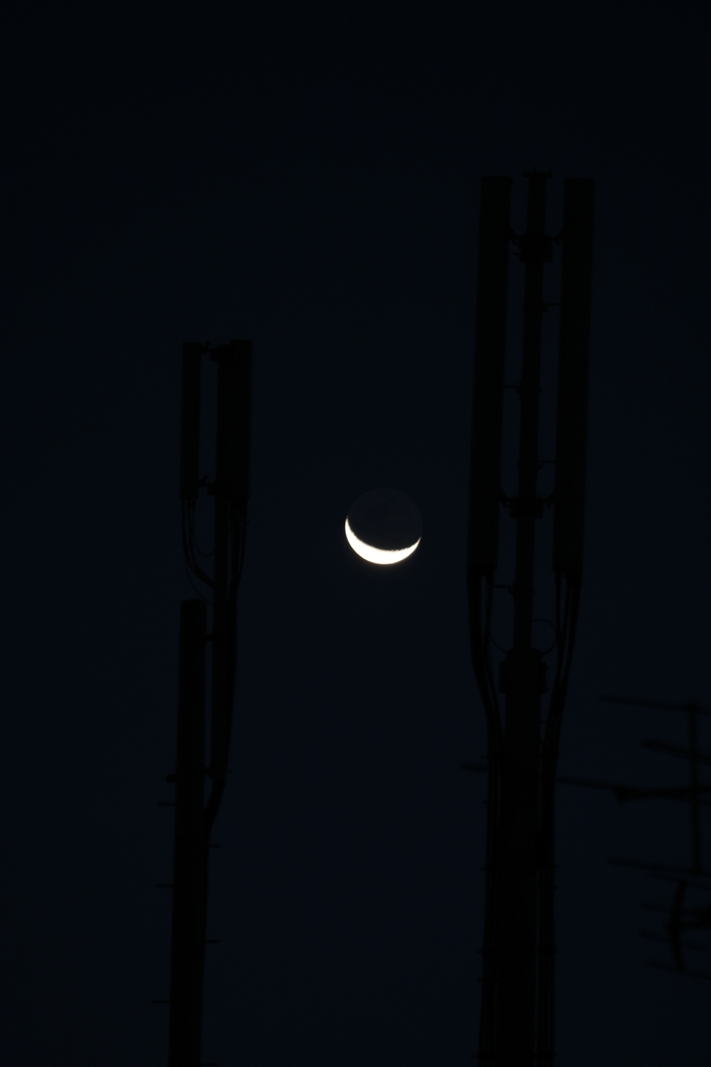 フィルター考察④