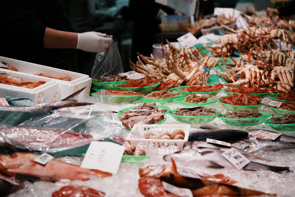 石川県　 金沢港いきいき魚市