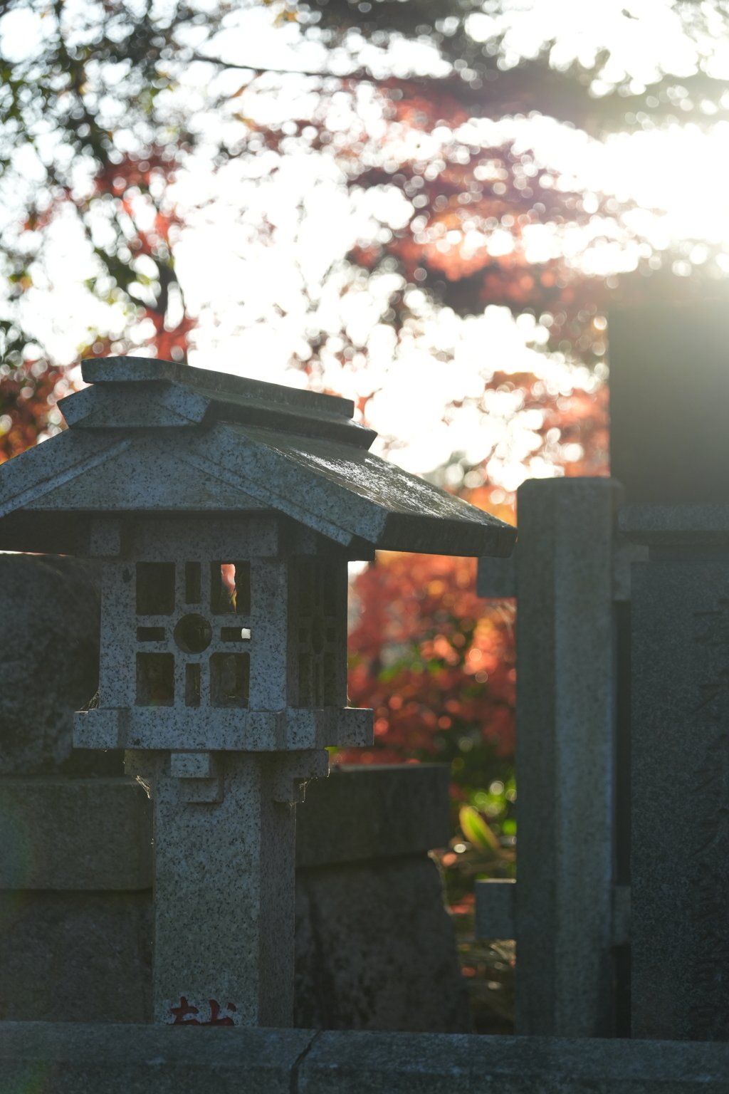 高尾山紅葉（TAMURON25-200テスト）