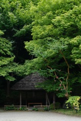 小石川後楽園