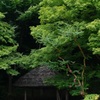 小石川後楽園