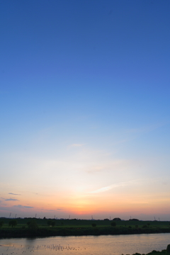 蒼