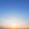 蒼