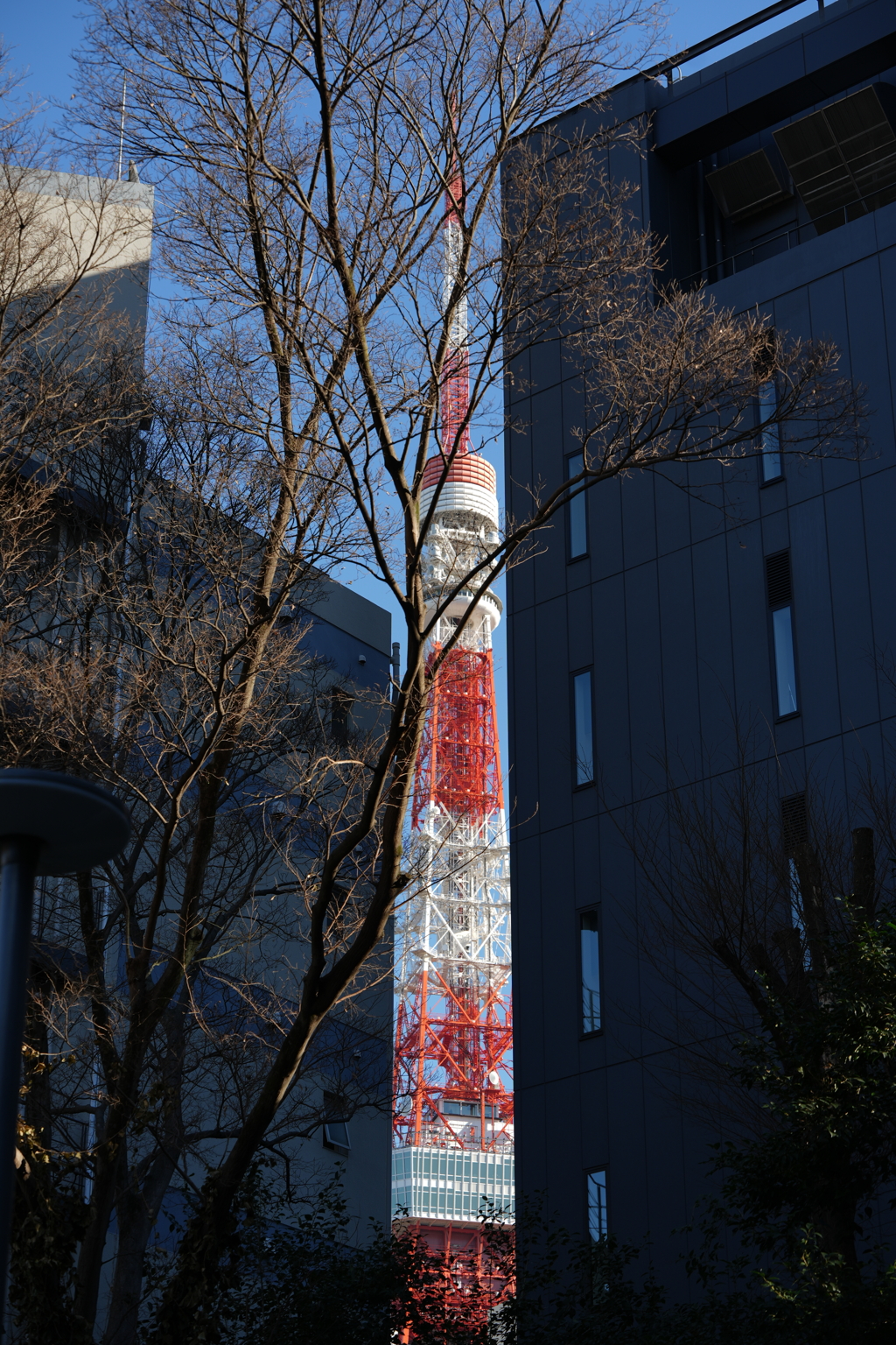隙間に赤