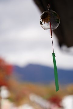 秋の風