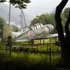 空を夢見て今日も佇む
