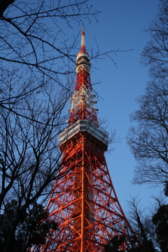 澄み渡る