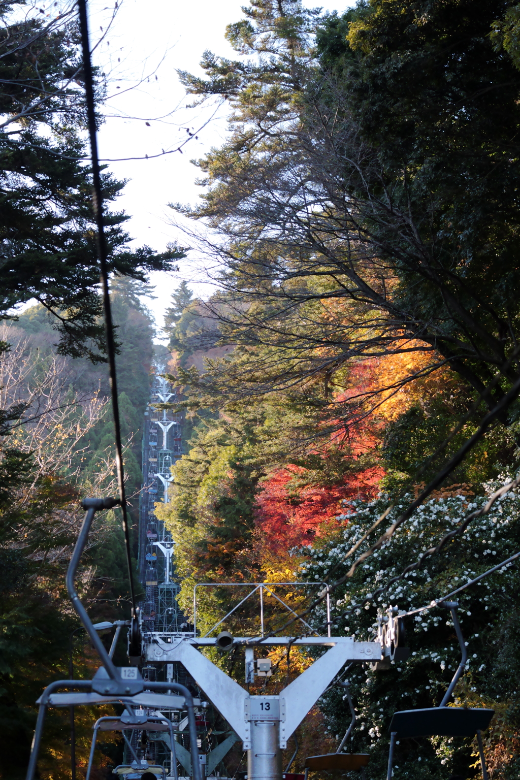 高尾の紅葉-リフト-（TAMURON25-200テスト）