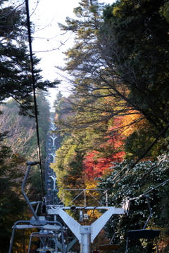 高尾の紅葉-リフト-（TAMURON25-200テスト）