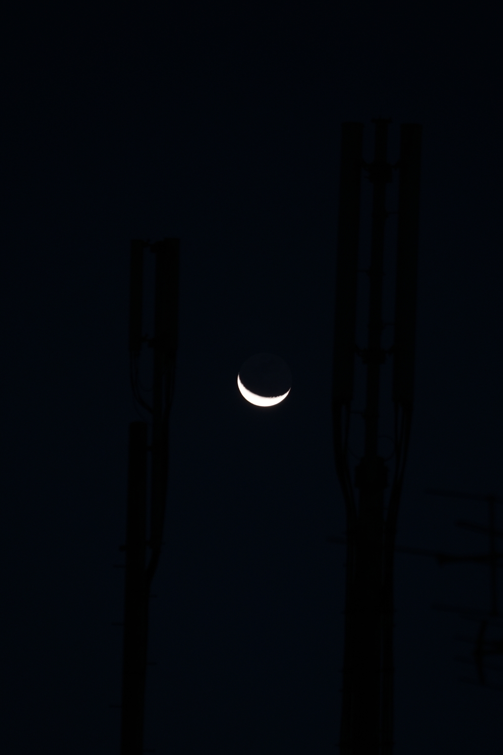 フィルター考察③