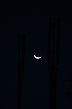 フィルター考察③