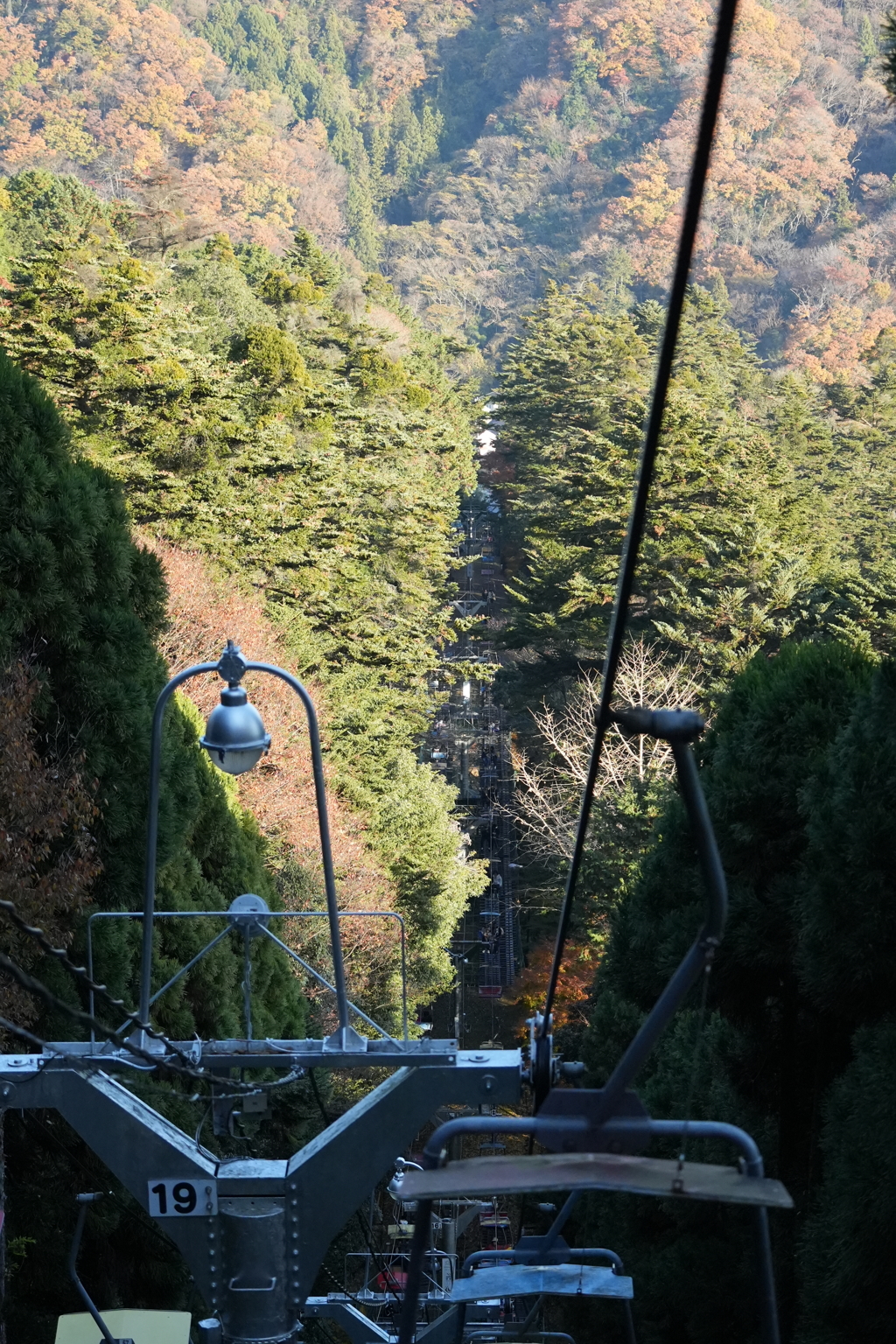 高尾の紅葉（TAMURON25-200テスト）