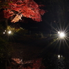紅葉