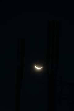 フィルター考察①