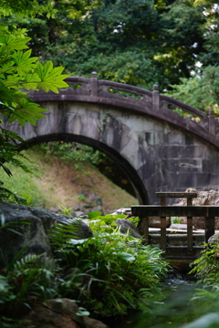 小石川後楽園　円月橋