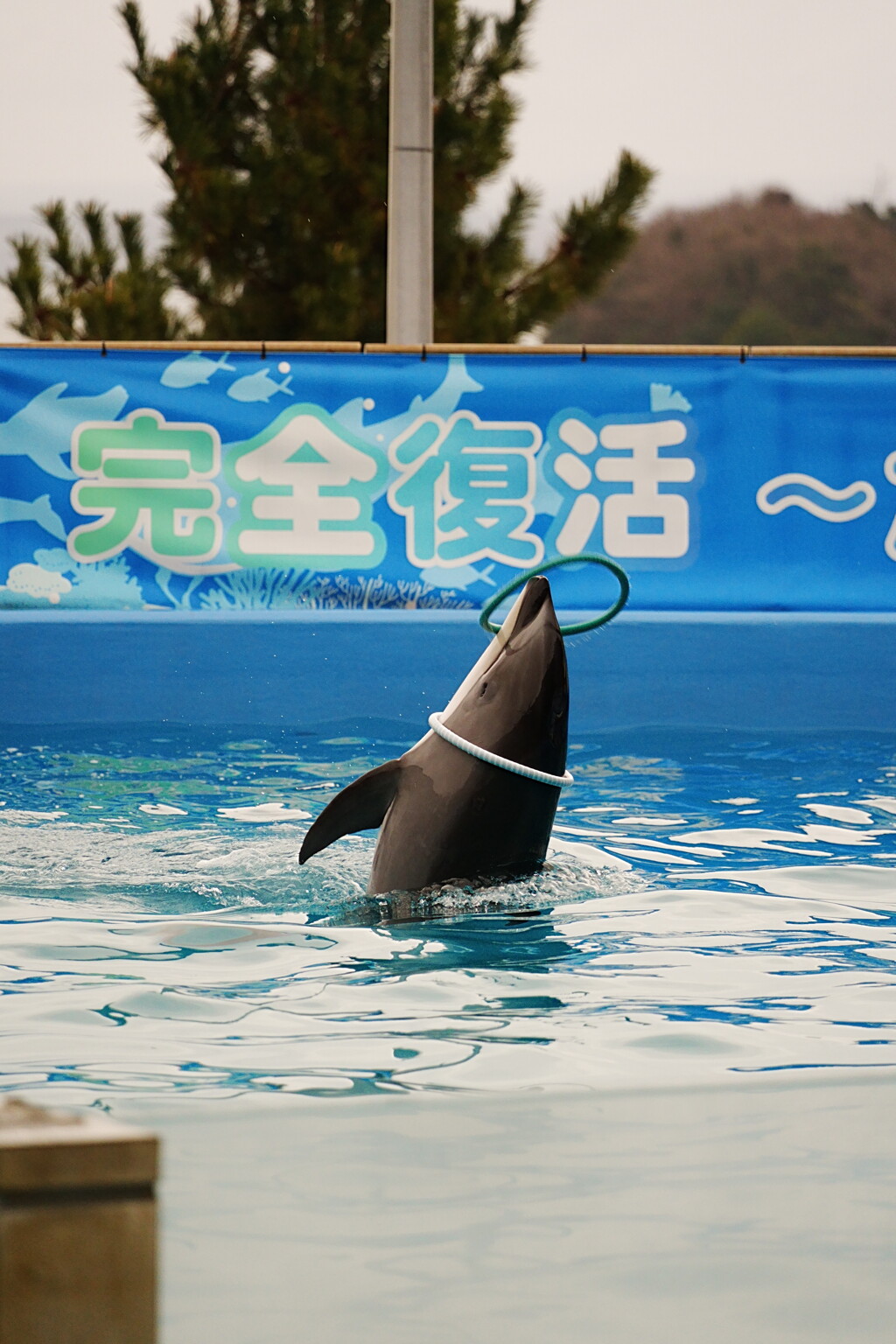 石川県　のとじま水族館