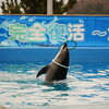 石川県　のとじま水族館