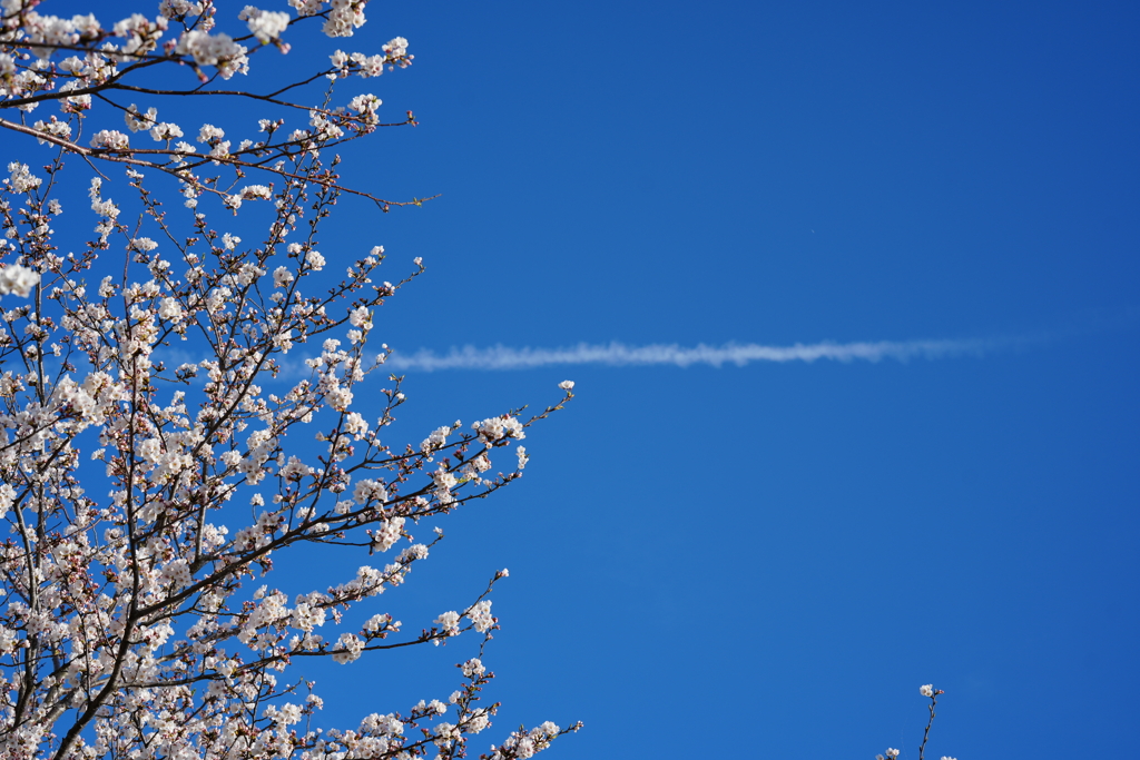 空の軌跡