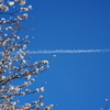 空の軌跡