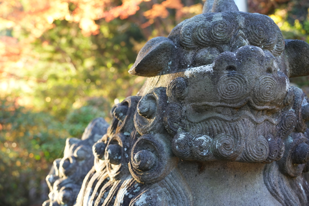 高尾山紅葉（TAMURON25-200テスト）