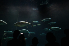海の日
