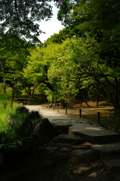 人気