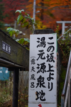 源泉