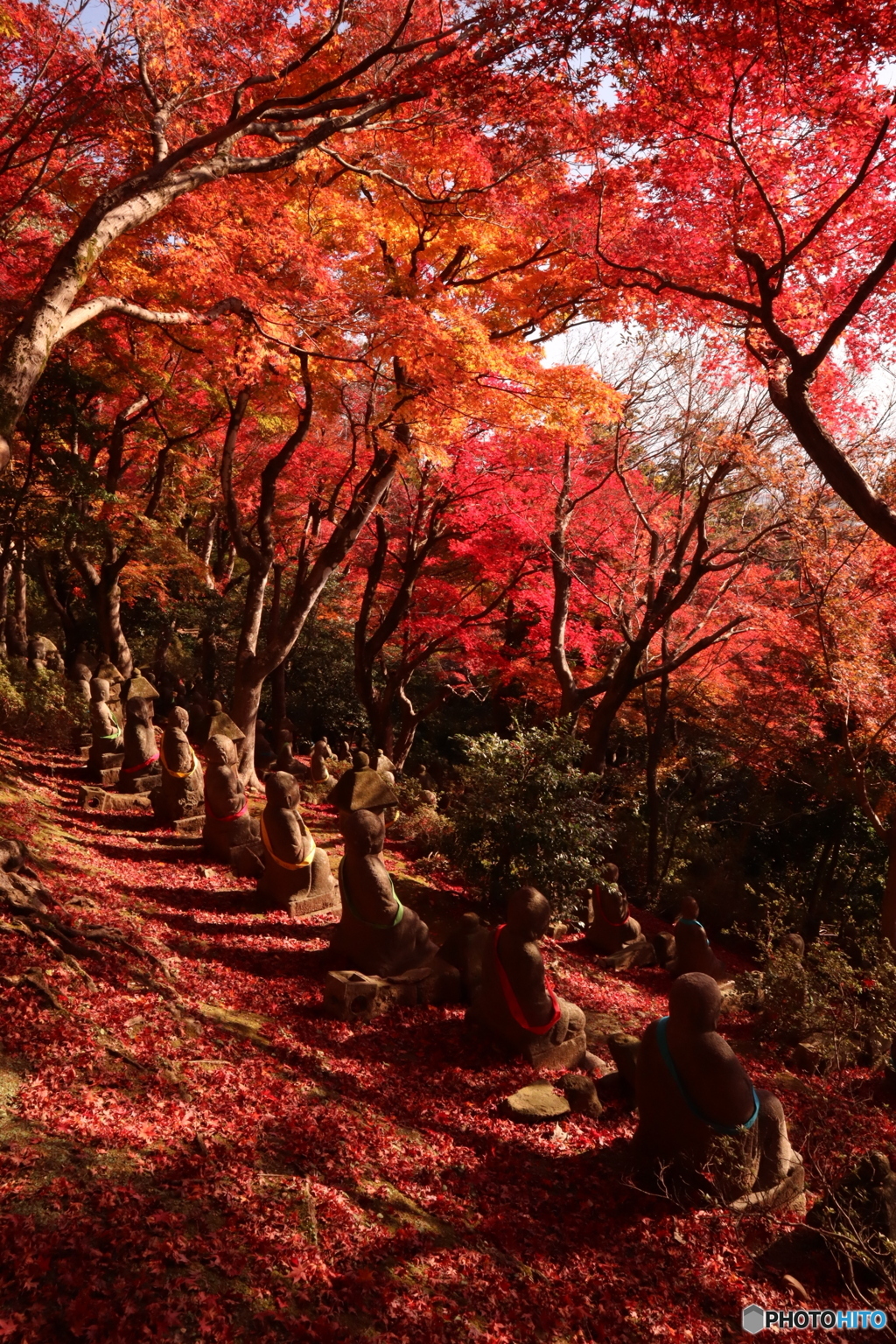 長慶寺五百羅漢の紅葉