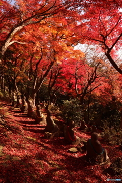 長慶寺五百羅漢の紅葉