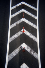 写ルンです