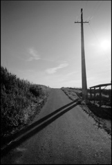 写ルンです