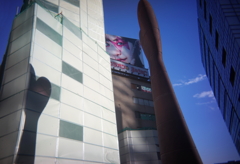 写ルンです