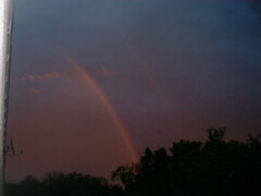 DSCF0021